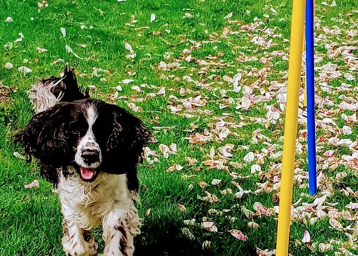 Kraeuter Hube Holiday home *