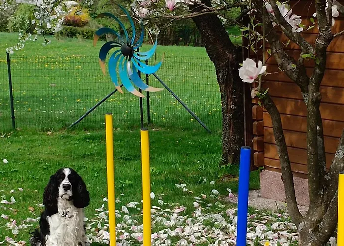 Kraeuter Hube * Litschau